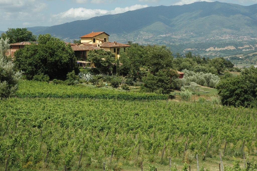 Locanda Casanuova Figline Valdarno Exterior foto